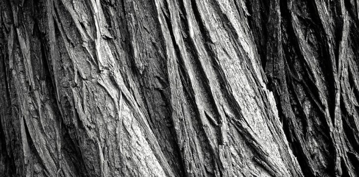 wood